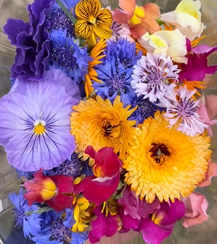 *MOST POPULAR* 100x Fresh Edible Flower Mix – Vibrant, Organic, and Chef-Ready